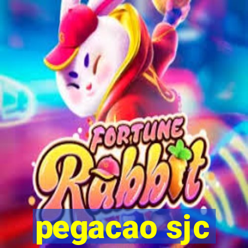 pegacao sjc